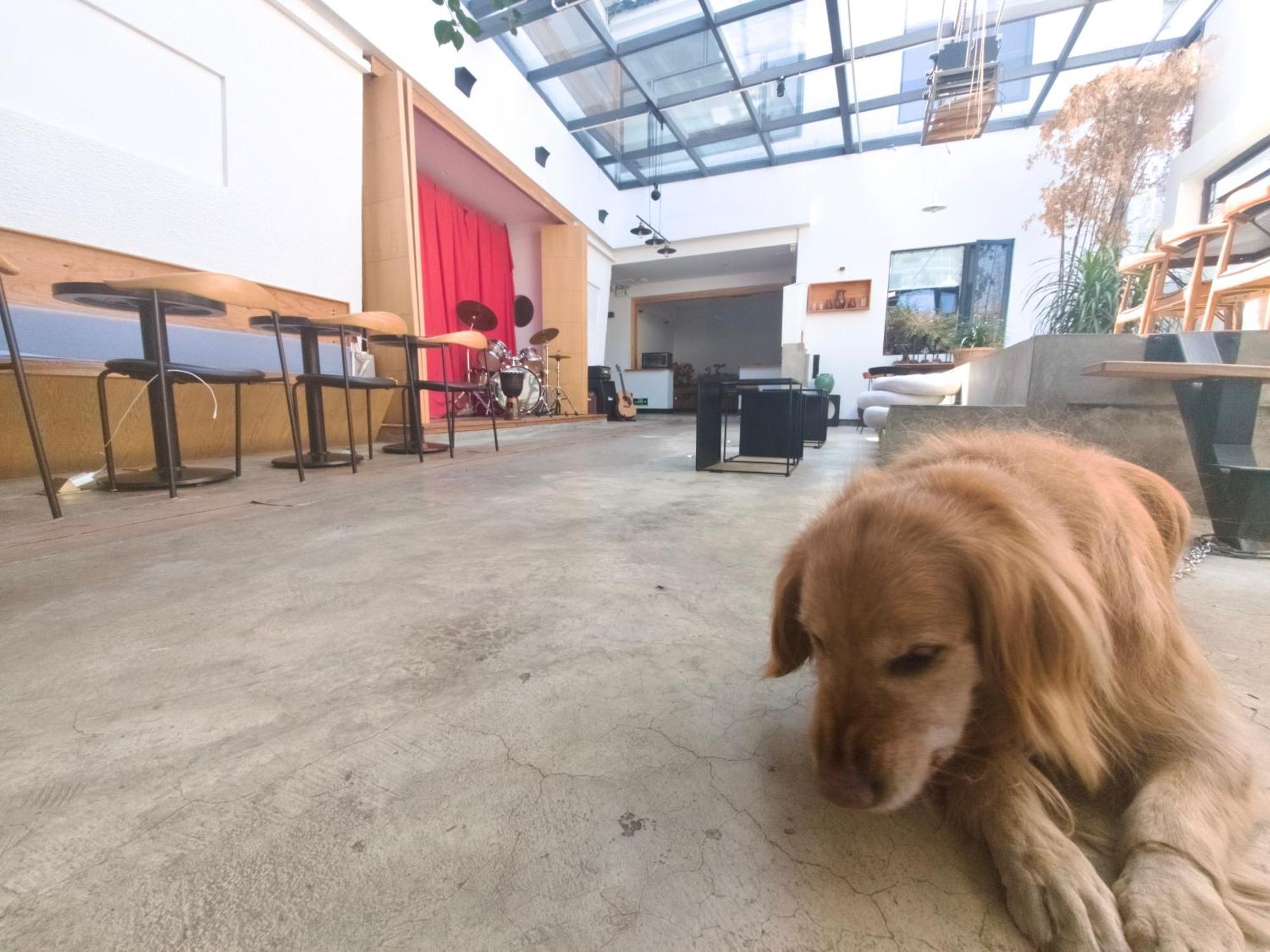 大理古城舍区旅行酒店 大荔 外观 照片